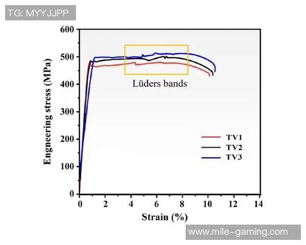篮球场半场的魅力与策略探讨如何在有限空间内实现团队协作与个人突破